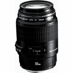 Canon EF 100mm F2.8 USM Macro Objektiv (58 mm Filtergewinde) schwarz (Generalüberholt)