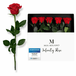 5 Infinity Rosen rot am Stiel (3 Jahre haltbar) in Geschenkbox I Valentinstag Deko Geschenk für Sie I Fünf konservierte Blumen mit Rosenduft I Inkl. Geschenkkarte