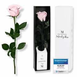Mia Milano Infinity Rose rosa am Stiel (3 Jahre haltbar) Echte Pinke Rose in edler Geschenkbox I Valentinstag Deko Geschenk für Sie I Konservierte Blume mit Rosenduft I Inkl. Geschenkkarte