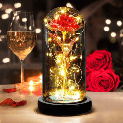 DASIAUTOEM Rose Geschenke für Frauen, Muttertagsgeschenke für Mama, Mütter, Frau Geschenke, Die Schöne und das Biest Ewige Rose, Rote Rose in Glaskuppel, Geschenk für Freundin Geburtstag Hochzeitstag