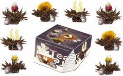 Creano Teeblumen Variation im exklusiven Tassenformat Erblühteelini als Probierset - 8 Teeblüten in 4 verschiedenen Sorten (Schwarzer Tee)