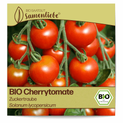 Samenliebe BIO Cherrytomaten Samen Zuckertraube besonders süße Cocktailtomate Tomate rot 10 Samen samenfestes Gemüse Saatgut für Gewächshaus Freiland und Balkon BIO Gemüsesamen