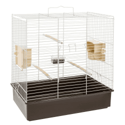 Ferplast Vogelkäfig Wellensittich Käfig Exotenkäfig, inkl. Vogelspielzeug, Vogel-Futternapf, Vogel-Sitzstangen, 61,5 x 40 x h 65 cm
