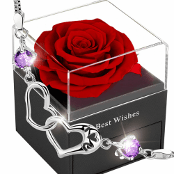 SWEETIME Ewige Echte Rose,Eternal Blumen,Infinity Rosen Geschenkbox，Romantisch Konservierte Flower Für Frauen Women Ehefrau Muttertag Valentinstag Birthday Verlobung Hochzeitstag Jubiläum