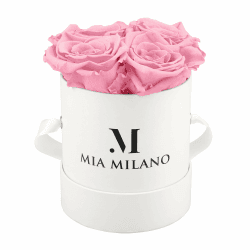 Mia Milano Infinity Rosen Rosa für Sie 3 Jahre haltbar I Rosenbox mit 4 echten konservierten Rosen I Handgefertigt in Deutschland
