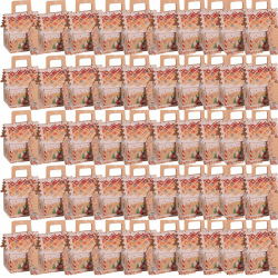 50 Stück Weihnachten Geschenkboxen Kleine Weihnachtsplätzchenboxen Kraftpapier Süßigkeitskästen mit Tragegriff und Karte Keksschachtel Gastgeschenke Schokolade Bonboniere Weihnachten Geschenkkarton