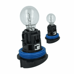 CARALL 2 Stück Halogenlampen 12V für Autos (HP24W 12V 24W)