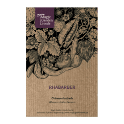 Rhabarber (Rheum rhabarbarum) - ca. 20 Samen