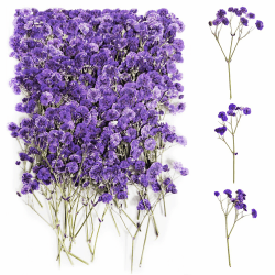 100 Stück Schleierkraut Getrocknet（Lila） Gepresste Blumen Schleierkraut Trockenblumen Schleierkraut Trockenblumen Getrocknete Blumen Trockenblumen zum Basteln Getrocknete Blüten für DIY Harz Schmuck