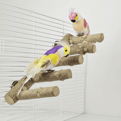 6PCS Natur Wellensittich Sitzstangen, Natur Holz Papagei Plattform, Kleine Vögel Futterstange Wellensittich Spielzeug Vogelkäfig Wellensittich Zubehör für Nymphensittich Kanarienvogel