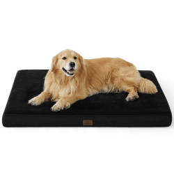 BEDSURE orthopädisches Hundekissen große Hunde - 120x74x10cm waschbares Hundebett mit 2 in 1 Memoryschaum, kuscheliges Hundematte Hundematratze in größe, Schwarz