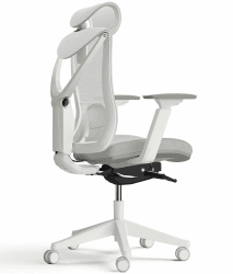 Desktronic Verstellbarer ergonomischer Bürostuhl | Schreibtischstuhl mit Lendenwirbelstütze - rückenfreundlich- Computerstuhl höhenverstellbar & rückenschonend - breites Polster SitPro (Grau)