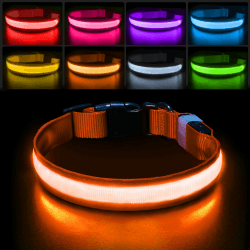 PcEoTllar Leuchthalsband Hund, Leuchtendes Hundehalsband Aufladbar 7 Farben mit 9 Leuchtmodi, LED Halsband für Hunde Wasserdicht, Leuchthalsband für Kleine Mittlere Große Hunde, Orange-L