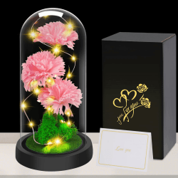 Touloube Geschenke für Frauen zum Muttertag Nelken Blumen-Geschenke für Mama, leuchtende künstliche Blumen, künstliche Nelken Blume in Glaskuppel Jahrestag, Geburtstag, Glückwünsche, Gute Besserung