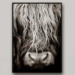IUNTWEIE Schottisches hochlandrind Leinwand bilder Druck, Nordic Hochland kuh Poster Wandbilder, Modern Hochlandrind Dekoration für Wohnzimmer Wohnkultur Dekor Kein Rahmen (Hochlandrind-2, 50x70)