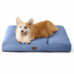 BEDSURE Hundekissen kleine Hunde waschbar - 76x50cm Hundebett wasserdicht M für kleine, mittelgroße Hunde gepolstert Hundematte Blau Gewaschen in 10cm Höhe