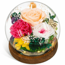 CSYY Ewige Rose, Glas Infinity Glasrose Konservierte Unendliche Haltbare Rote Blume Licht Eternal Geschenke Frauen Mama Freundin Ehefrau Valentinstag Geburtstag Rosa