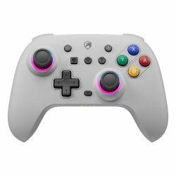 ECHTPower Switch Controller für Switch/OLED/Lite, Switch Pro Controller, 9 LEDs Wireless Controller für Switch mit Turbo, 6-Achsen, Aufwachen, Gyroskop, SYNC, Makro und Screenshot (Grau)