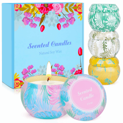 Duftkerze im Glas,𝟏𝟎𝟎 𝐒𝐭𝐝.Duftkerzen Geschenkset für Frauen, kleine Geschenke für Frauen Weihnachten,Geburtstagsgeschenke für sie,Duftkerzen Set,Teelichter mit 100% Natürlich Sojawachs 4 Pcs