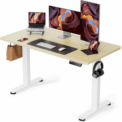 ErGear Höhenverstellbar Schreibtisch 120 x 60cm Ergonomischer Steh-Sitz Tisch Stehpult Computertisch für Heimbüro mit 4 Memory-Steuerung (Natürlich)