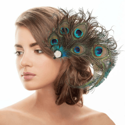 Pfau Kopfschmuck Haarspange,Pfau Haarschmuck,Feder Haarschmuck mit Strassbesatz,Pfauenfeder Haarreif,Karneval Kopfschmuck Damen,Pfau Kostüm für Carnival, Fancy Dress,Themenparty