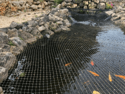 AquaOne Teichnetz feinmaschig 5x4m I Teichabdeckung für laubfreien Teich I vielseitiges Netz in schwarz I Abdecknetz mit 10 Spießen I Schutznetz für Gartenteich