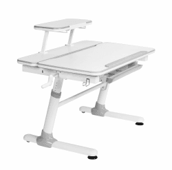 HOKO® Ergo-Study-Table COMPAKT Set, JoJo & LUBU. Höhenverstellbar Kinderschreibtisch mit Neigung Einstellbarer Tischplatte und Butler mit Buch-Halterung