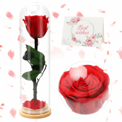 RANJIMA Infinity Rose, Konservierte Rose Geschenke für Frauen, Ewige Rose zum Valentinstag, Rosenbox mit Konservierte Blumen Geschenk für Mama/Freundin/Ehefrau, Geburtstag,Hochzeit,Muttertag,Jahrestag