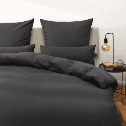 Blumtal Bettwäsche 155x220 cm + 2X Kissenbezug 80x80 cm - Oeko-TEX zertifizierte Mikrofaser Bettwäsche 155x220-155x220cm Bettwäsche weich - Bettwäsche Übergröße 155x220/3er Set Bettbezüge Anthrazit Decke 155x220 cm & 2x Kissen 80x80 cm 02 - Anthrazit