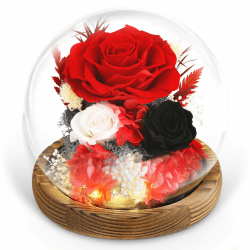 Ewige Rose im Glas mit Licht,Konservierten Blumen,Infinity Rose Geschenke mit LED-Licht,Kleine Geschenke für Frauen und Oma,Muttertag,Geburtstagsgeschenke für Valentinstag Geburtstag Weihnachten