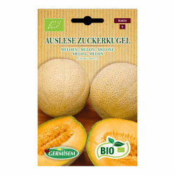 Melone Auslese Zuckerkugel