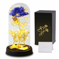 Geschenke für Frauen, Infinity Rosen im Glas mit Licht, Die Schöne und das Biest Rose Sparkly Galaxy Rose mit 3D Schmetterling, Schöne Geschenke Blume für Mama, Oma, Frauen, Freundin, Geburtstag