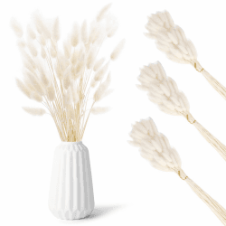 180 Stück Hasenschwanz Trockenblumen, Getrocknete Pampasgras, Ewige Kaninchenschwanzgras, Getrocknete Blumen, Schilfgras Blumenstrauß für Vase, Blumenarrangements, Hochzeit, Boho Zuhause Dekoration