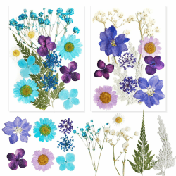 Gepresste Blumen Getrocknete Blumen Gepresste Blüten Getrocknete Blüten Trockenblumen Gepresst Blüten Getrocknet Trockenblumen Lila/Blau Blaue Blumen für DIY Seife Kerzen-Dekoration Scrapbooking