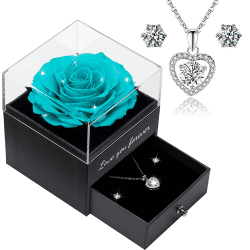 Qinqinxin Ewige Echte Rose mit Herz Halskette Love You Forever Geschenkbox, Infinity Rosen Geschenke für Frauen Mama Oma, konservierte echte Rose für Valentinstag Muttertag Geburtstag Geschenk für Sie