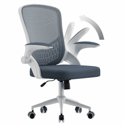 naspaluro Ergonomischer Bürostuhl, Schreibtischstuhl mit 90° Klappbaren Armlehnen, Einzigartige Lendenwirbelstütze, Atmungsaktive Mesh-Polsterung für das Heimbüro, Studie, Dunkelgrau