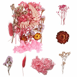 Scentoria 2 Sätze Trockenblumen, Trockenblumen zum Basteln, Trockenblumen Weihnachten, Trockenblumen Rosa, Trockenblumen Klein für DIY Harz, Mini Vasen, Weihnachten Dekoteller