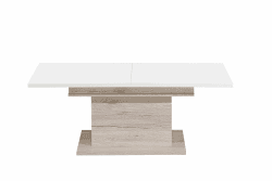 FORTE Coffee Tables Couchtisch, Holzwerkstoff, Sandeiche / Weiß Hochglanz, 120 x 45,1 x 70 cm