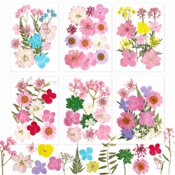 Gepresste Blumen Getrocknete Blumen Gepresste Blüten Getrocknete Blüten Trockenblumen Gepresst Blüten Getrocknet Trockenblumen Rosa für DIY Seife Kerzen-Dekoration Scrapbooking