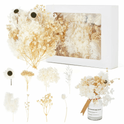 Trockenblumen Klein, Trockenblumen zum Basteln mit 8 Arten von Blumen, Getrocknete Blumen Natürliche Gemischte, Gelb Trockenblumen Deko Dried Flowers für Kunst Basteln, Scrapbooking, DIY-Kerze Harz