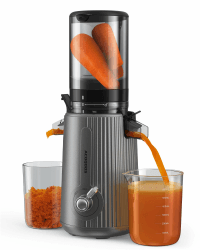ACOQOOS Entsafter, Entsafter Gemüse und Obst with 110MM Einfüllöffnung, Leicht zu Reinigen Slow Juicer Machine with 2 Cups Silbergrau