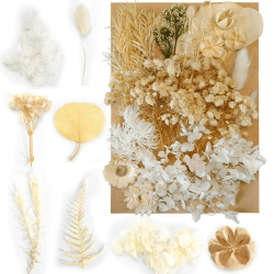 Disnace Natürliche Getrocknete Blumen, Blumen Natürliche Gemischte, DIY Natürliche Trockenblumen Set für Kunst Basteln DIY Epoxidharz Formen, Scrapbook Zubehör Karten Machen, Cremeweiß
