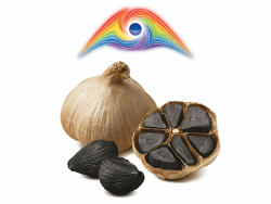 Hymor Schwarzer Knoblauch - 10 Knollen - 90 Tage fermentiert aus Las Pedroñeras aus bestem lila Knoblauch, Spanien, ungeschält, Black Garlic schwarz Knoblauch Ajo Negro 100% natürlich