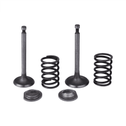 Cancanle Ansaugventil/Federhalter-Set für Honda GX340 GX390 11HP 13HP Gasmotorgenerator