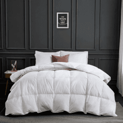 APSMILE Daunendecke 220x240 Winter Extra Warm Bettdecke mit Hohe Flauschigkeit Gänsedaunen und Federn, 100% Ägyptische Baumwolle, Allergiker Natur Duvet RDS Zertifiziert für Tierwoh