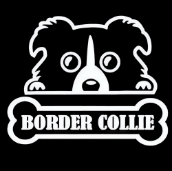 Autoaufkleber Border Collie Weiß Aufkleber 15cm(5.9 Inch) Border Collie White Car Sticker Wasserdichte Haustier Hund Laptop-Aufkleber Border Collie und Knochen Autofenster Aufkleber Stoßstange Dekor