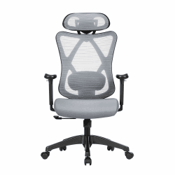 SONGMICS Bürostuhl, ergonomischer Schreibtischstuhl, Computerstuhl, Netzstuhl, verstellbare Lendenstütze und Kopfstütze, bis 150 kg belastbar, höhenverstellbar, Taubengrau OBN063G01