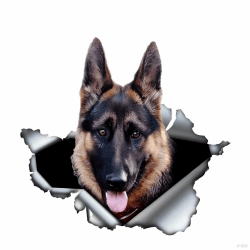 Autoaufkleber 25cm Deutscher Schäferhund Auto Aufkleber German Shepherd Zerrissen Aufkleber Reflektierende Aufkleber Auto Stoßstange Kofferraum Heckscheibe Dekor Wasserfester Haustier Hund Aufkleber