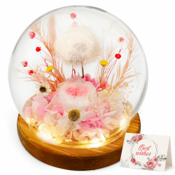 RANJIMA Echte Pusteblume im Glass mit Licht, Infinity Blume Geschenke für Frauen, Ewig Blumen Geburtstagsgeschenk für Frauen Freundin Mädchen Geschenk für Geburtstag Jahrestag Weihnachten Valentinstag