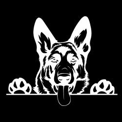 Autoaufkleber Weißer Deutscher Schäferhund Aufkleber 18cm White German Shepherd Car Sticker Wasserfester Lustige Auto Aufkleber Haustier Hund Aufkleber Stoßstange Heckscheibe Dekor
